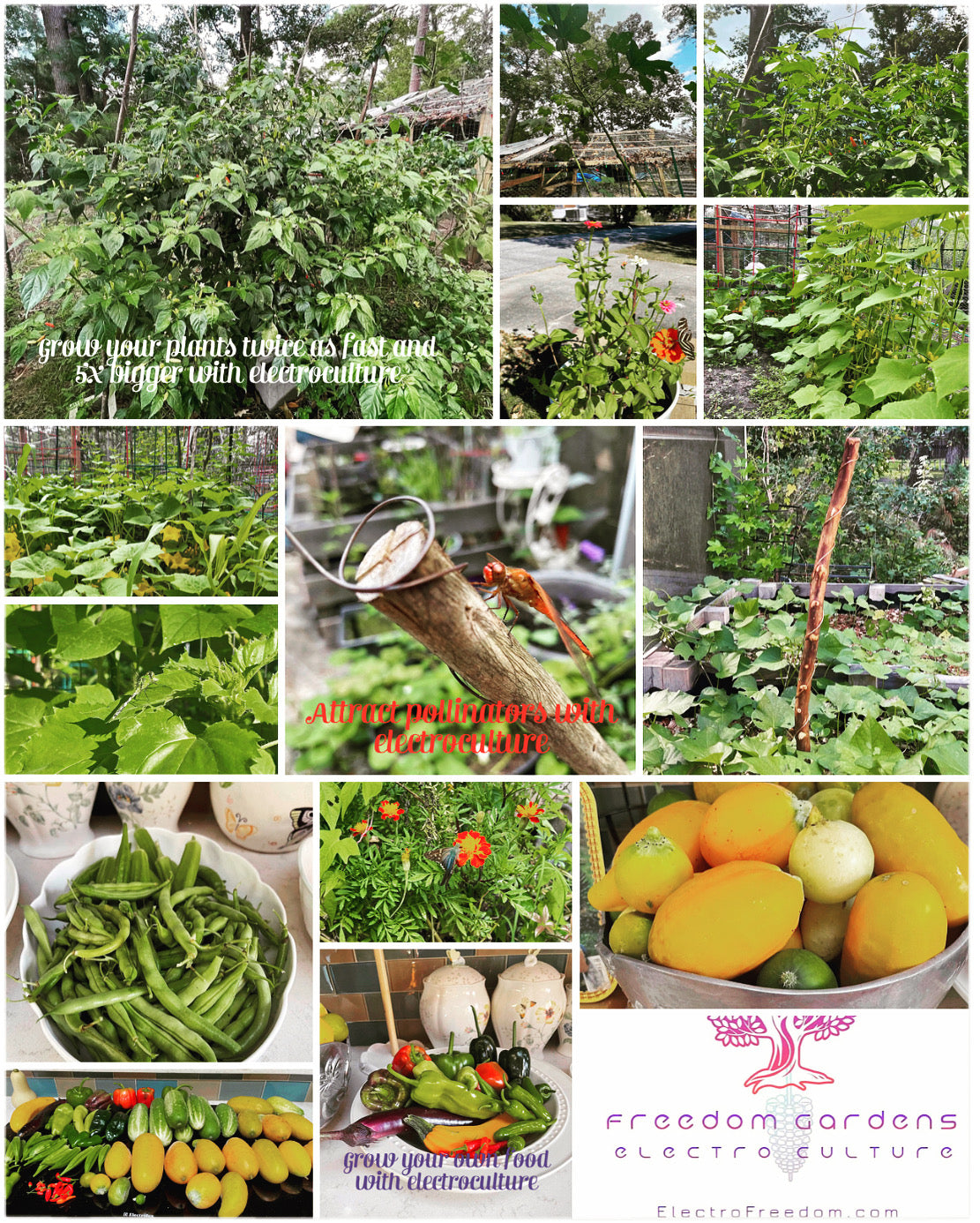 Sacred Geometry Consultation