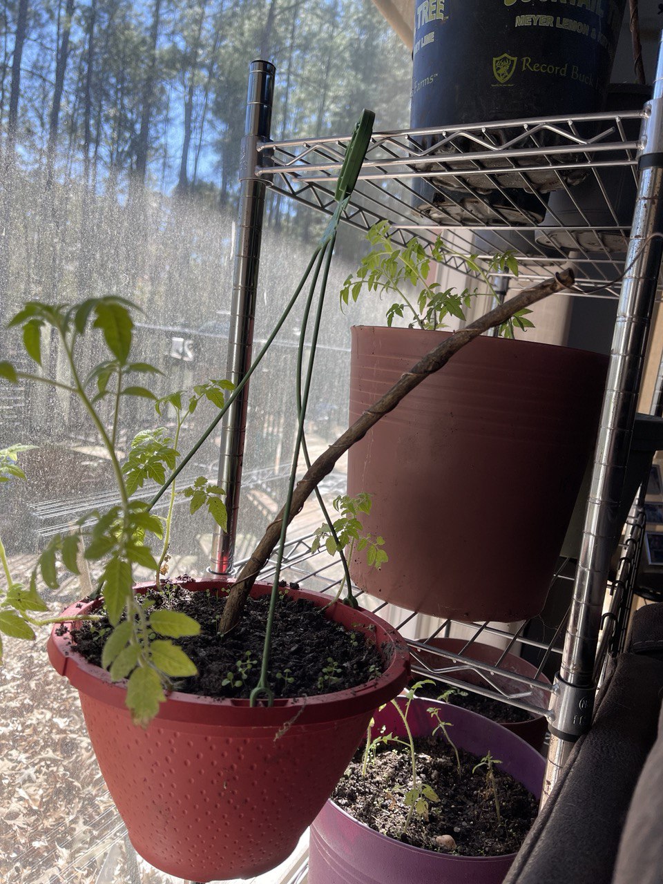 12” Green Thumb ElectroFreedom Electroculture Antenna