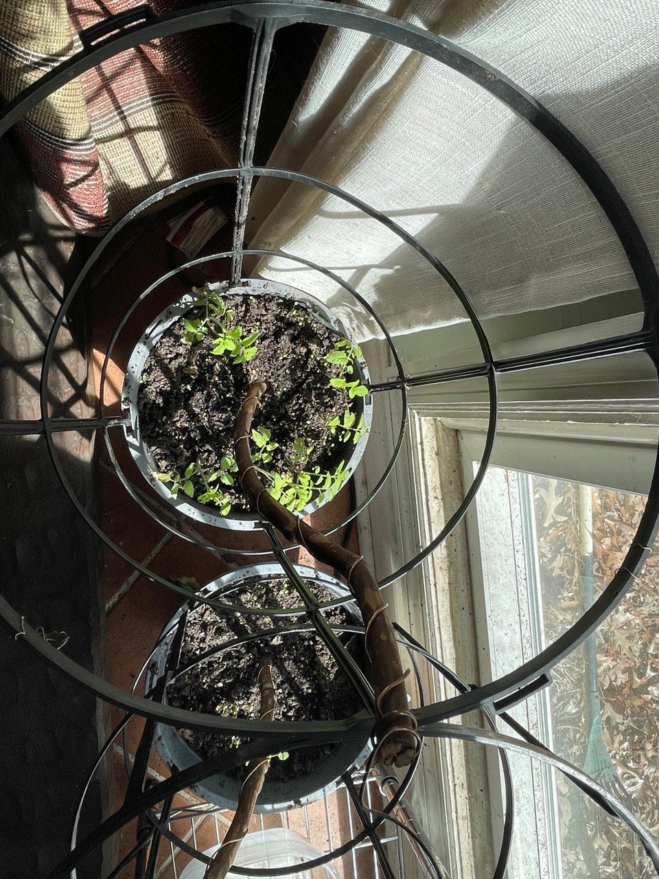 12” Green Thumb ElectroFreedom Electroculture Antenna