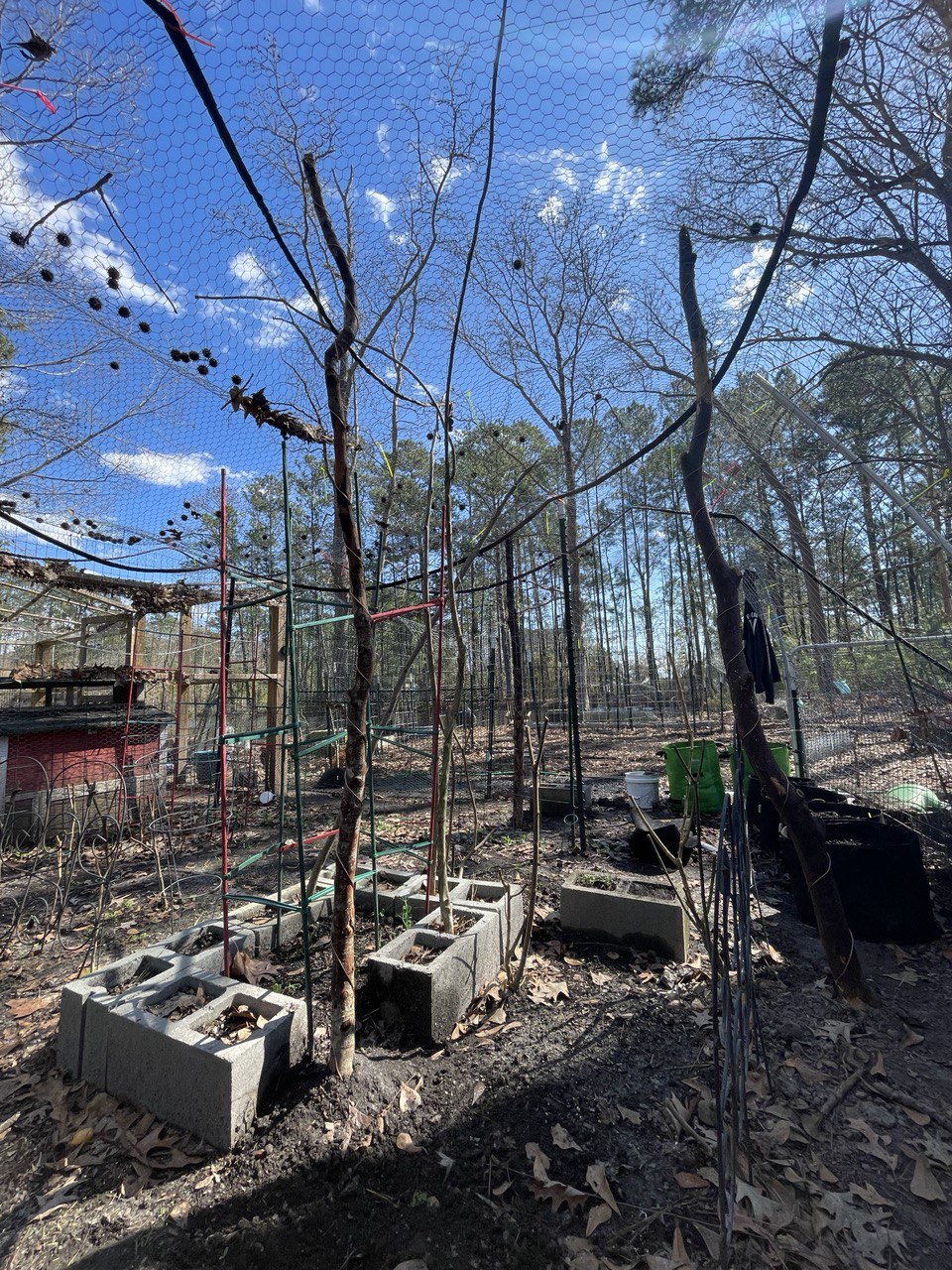 84” Patriot ElectroFreedom Electroculture Antenna