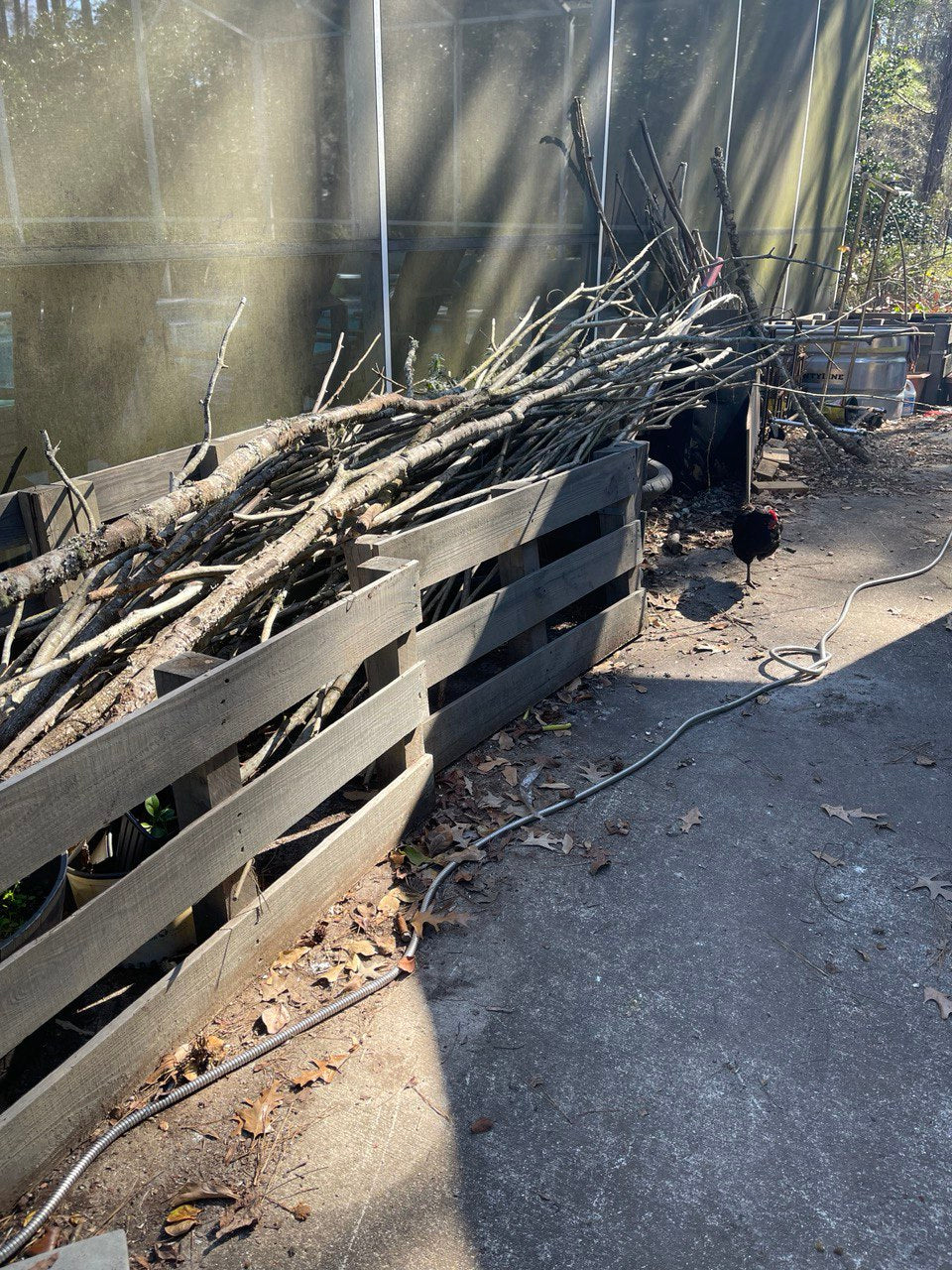 84” Patriot ElectroFreedom Electroculture Antenna