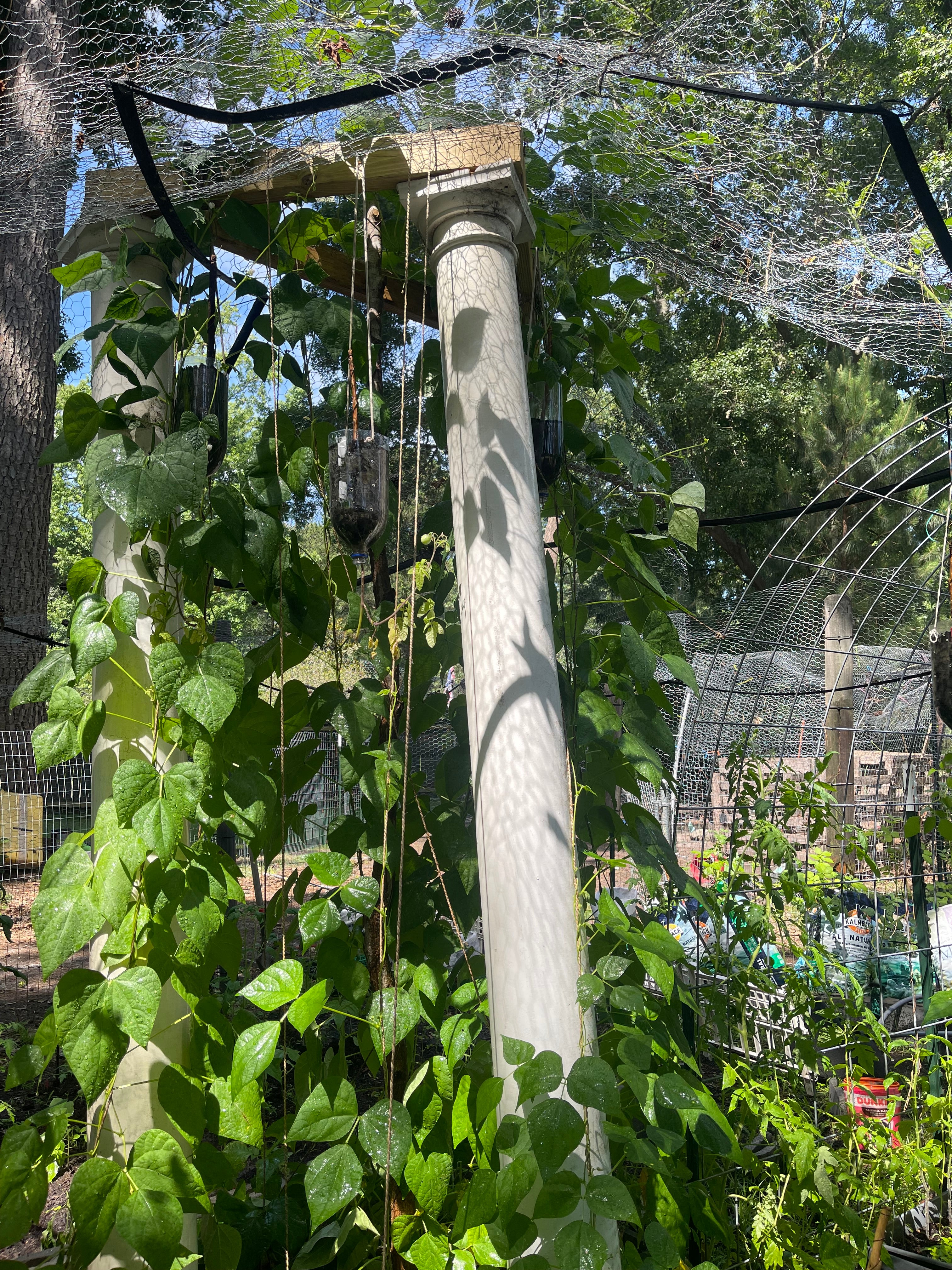 84” Patriot ElectroFreedom Electroculture Antenna