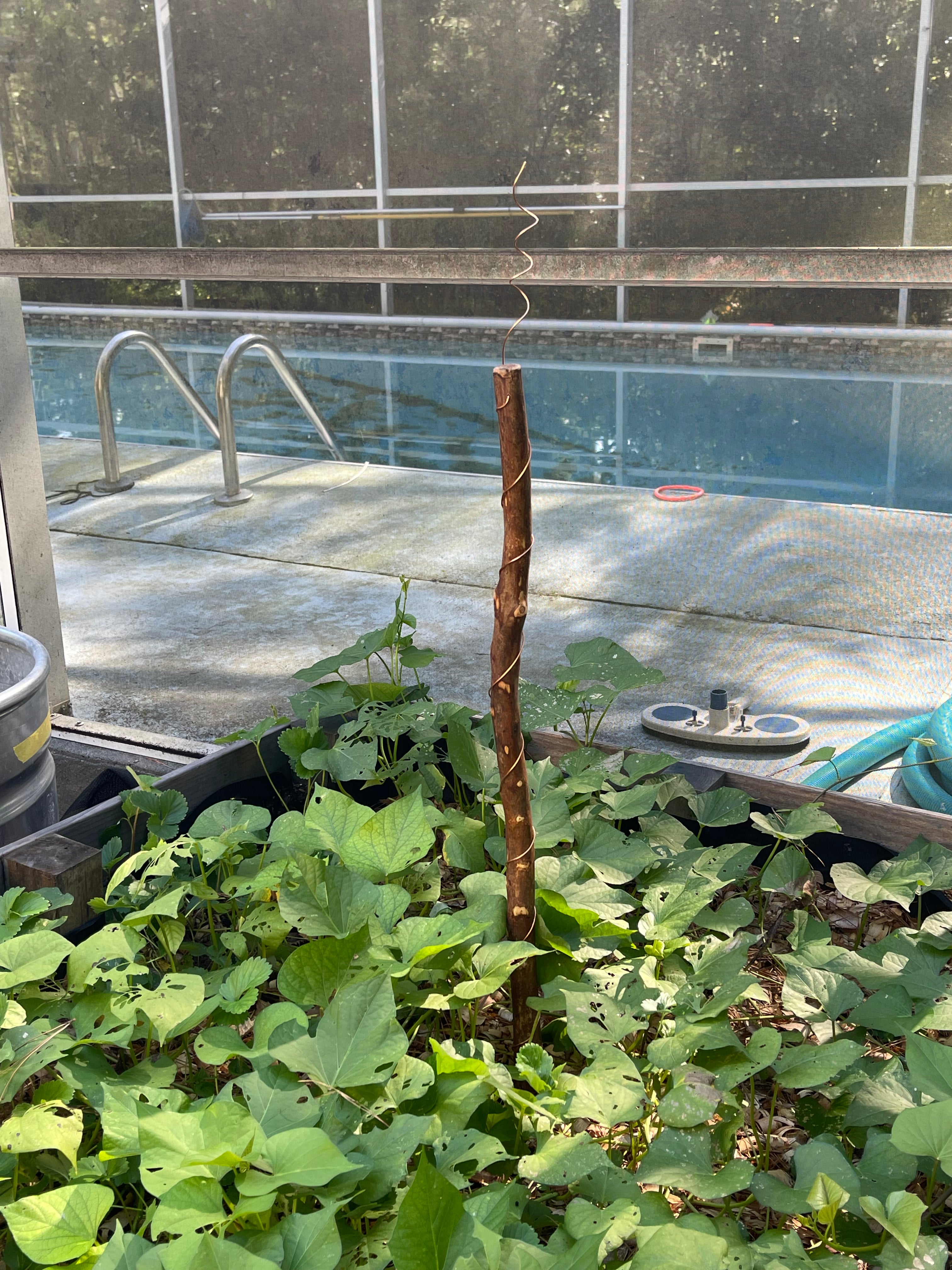 42” Yankee ElectroFreedom Electroculture Antenna