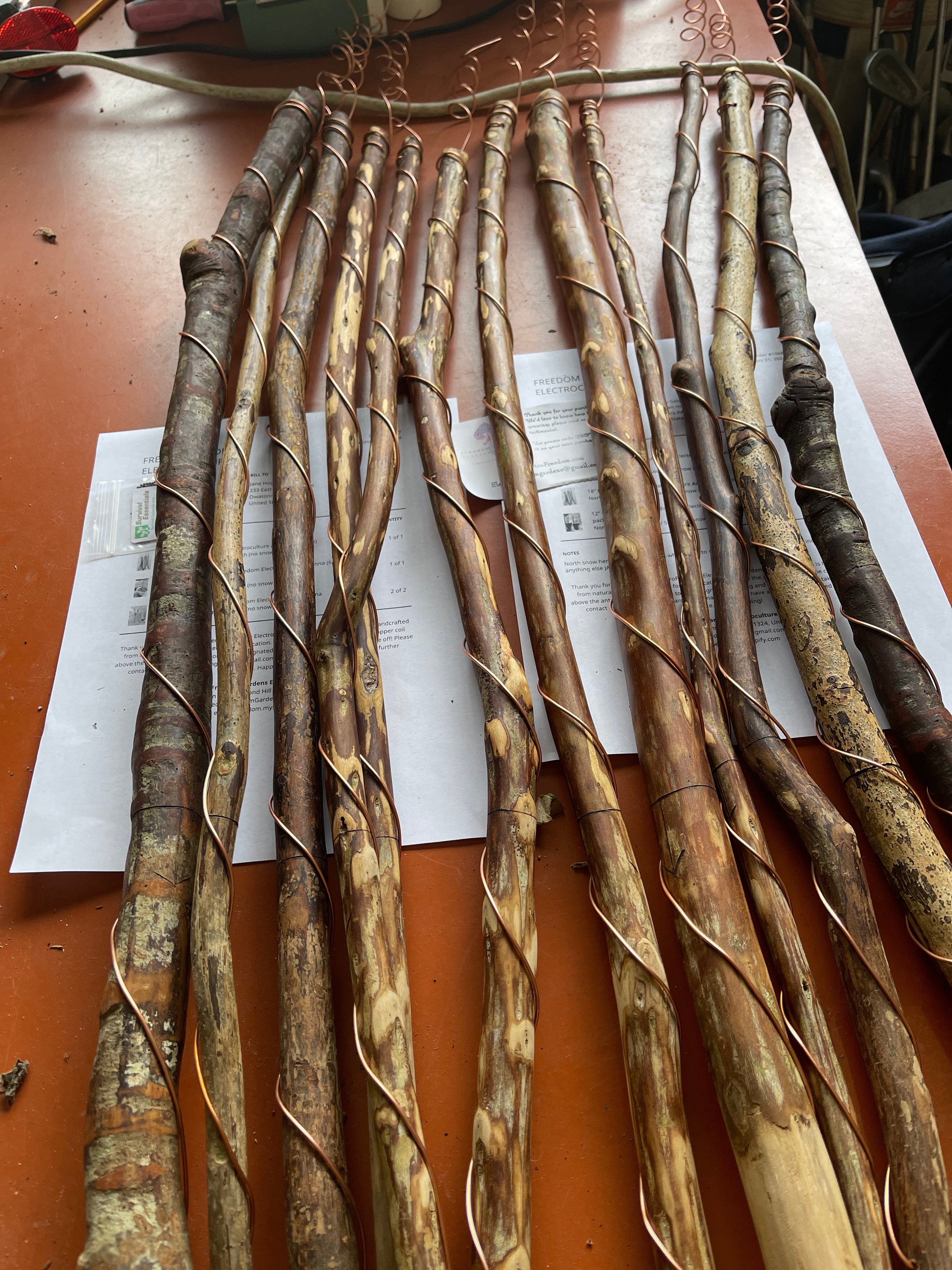 30” Southern Belle ElectroFreedom Electroculture Antenna (6 pack)