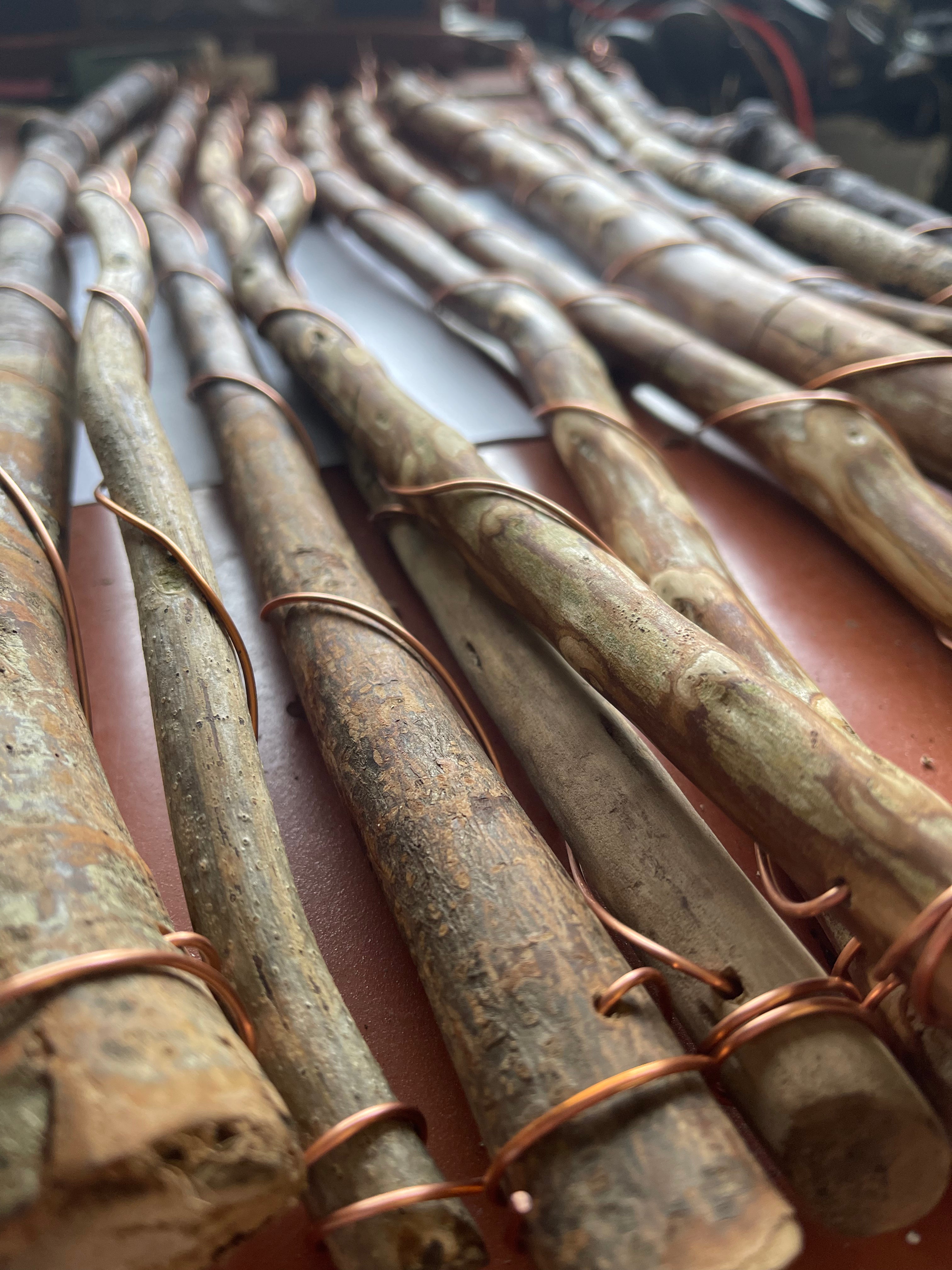 30” Southern Belle ElectroFreedom Electroculture Antenna (6 pack)