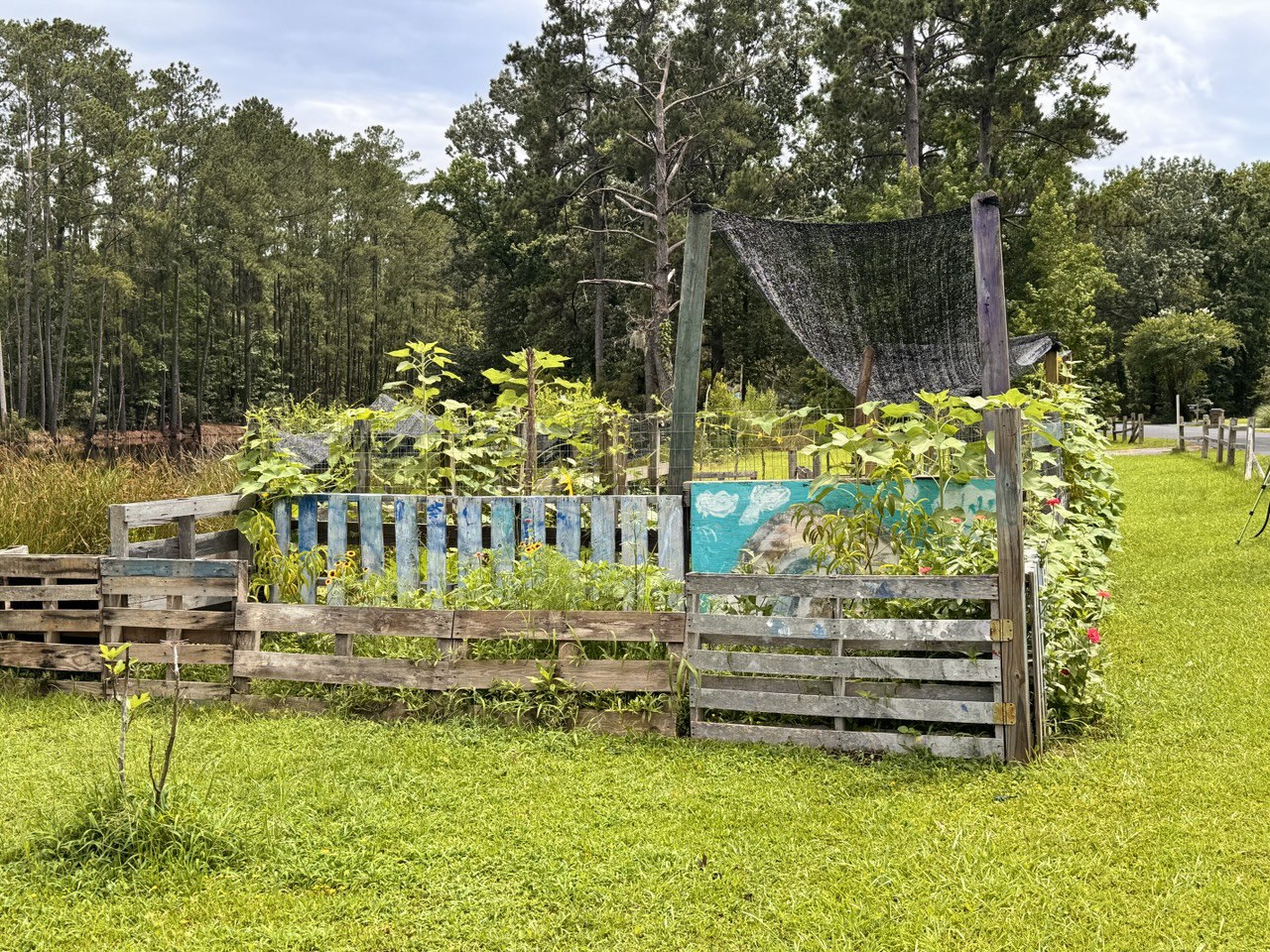 60” Homesteader ElectroFreedom Electroculture Antenna