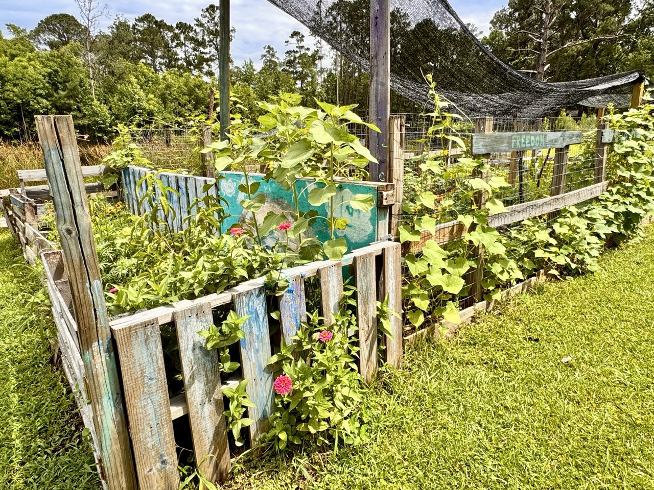 60” Homesteader ElectroFreedom Electroculture Antenna