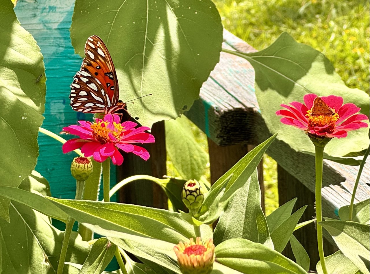 12” Green Thumb ElectroFreedom Electroculture Antenna