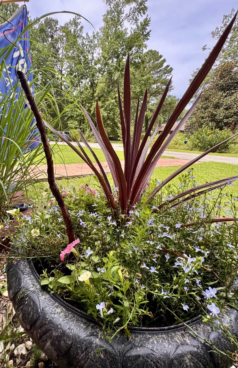 12” Green Thumb ElectroFreedom Electroculture Antenna