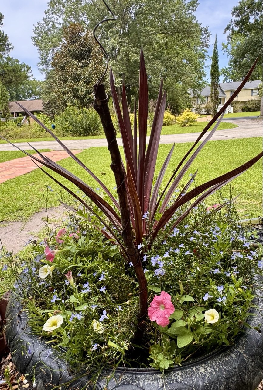 12” Green Thumb ElectroFreedom Electroculture Antenna