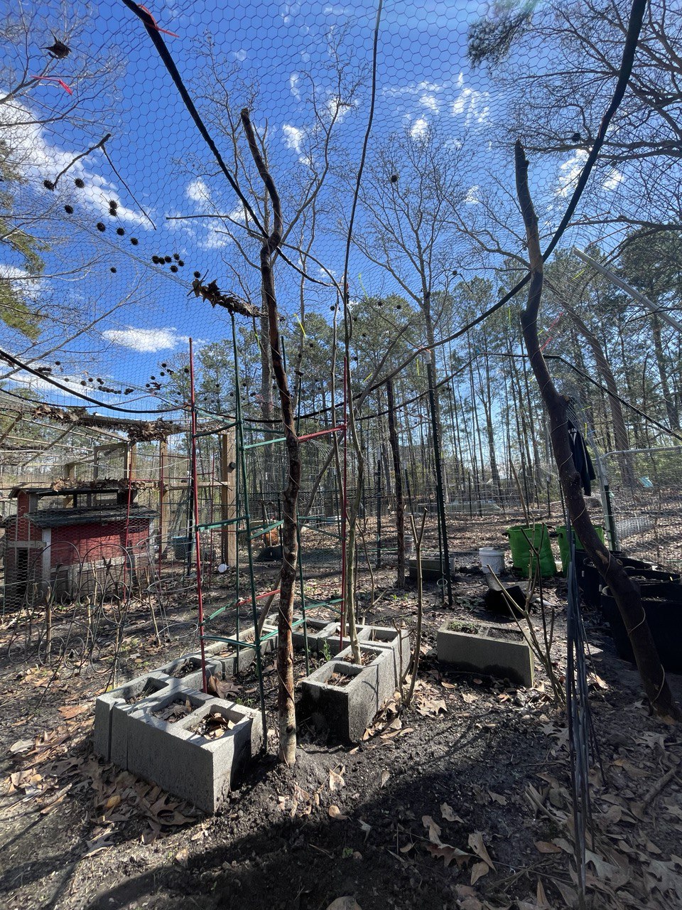 84” Patriot ElectroFreedom Electroculture Antenna