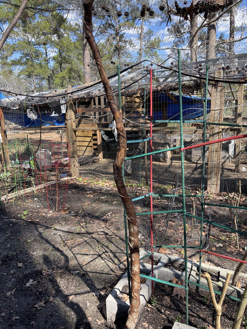 84” Patriot ElectroFreedom Electroculture Antenna