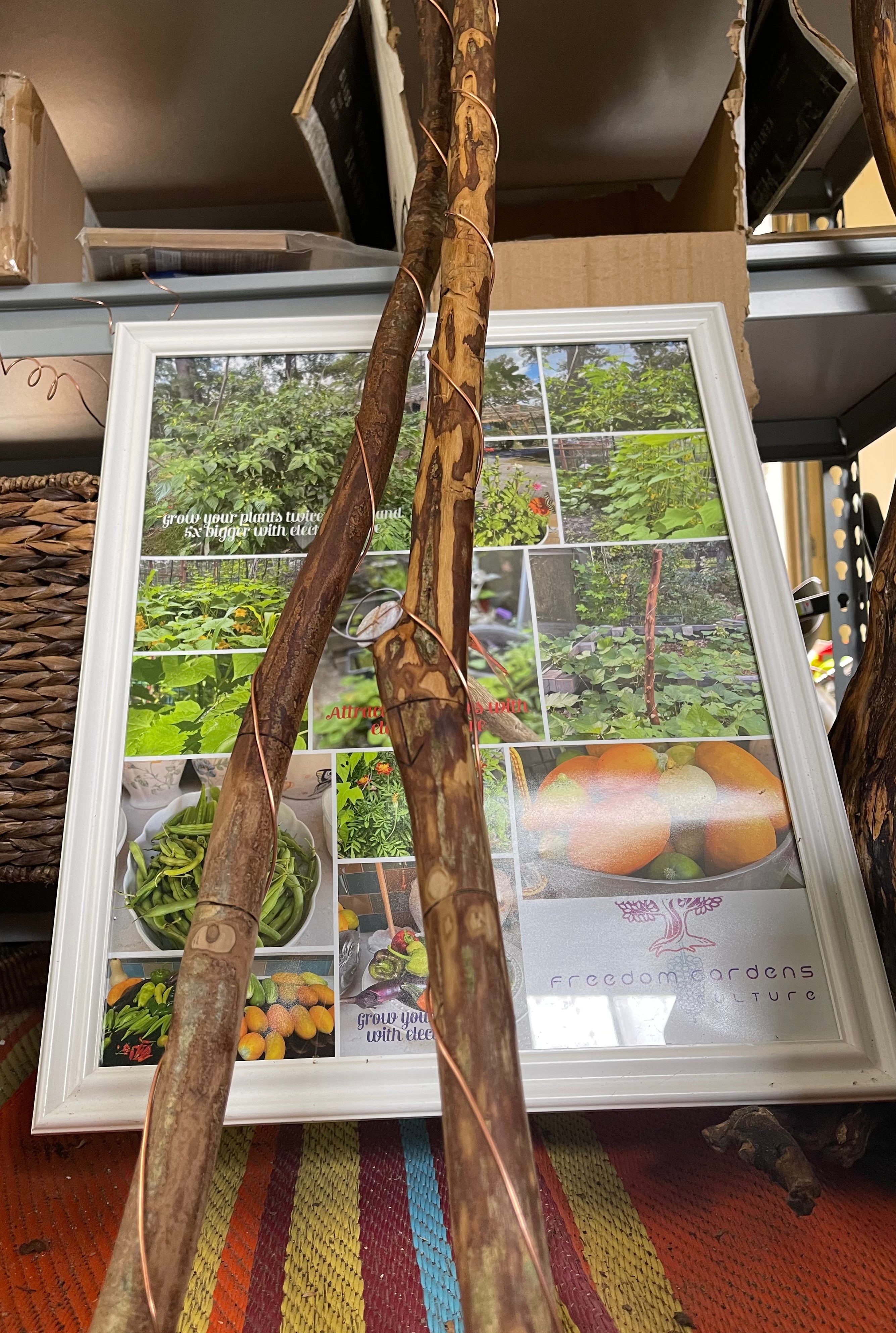 60” Homesteader ElectroFreedom Electroculture Antenna